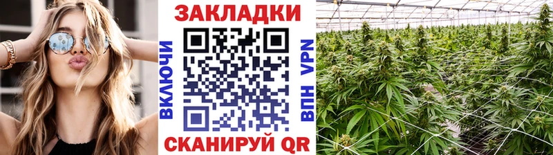Где купить наркоту Лодейное Поле ссылка на мегу сайт СОЛЬ ГАШ Канабис