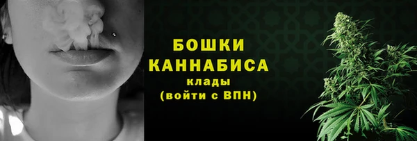 ПСИЛОЦИБИНОВЫЕ ГРИБЫ Баксан