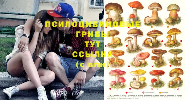MDMA Premium VHQ Балабаново
