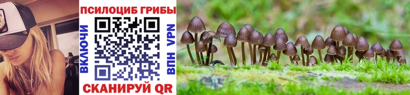 Псилоцибиновые грибы Magic Shrooms Лодейное Поле